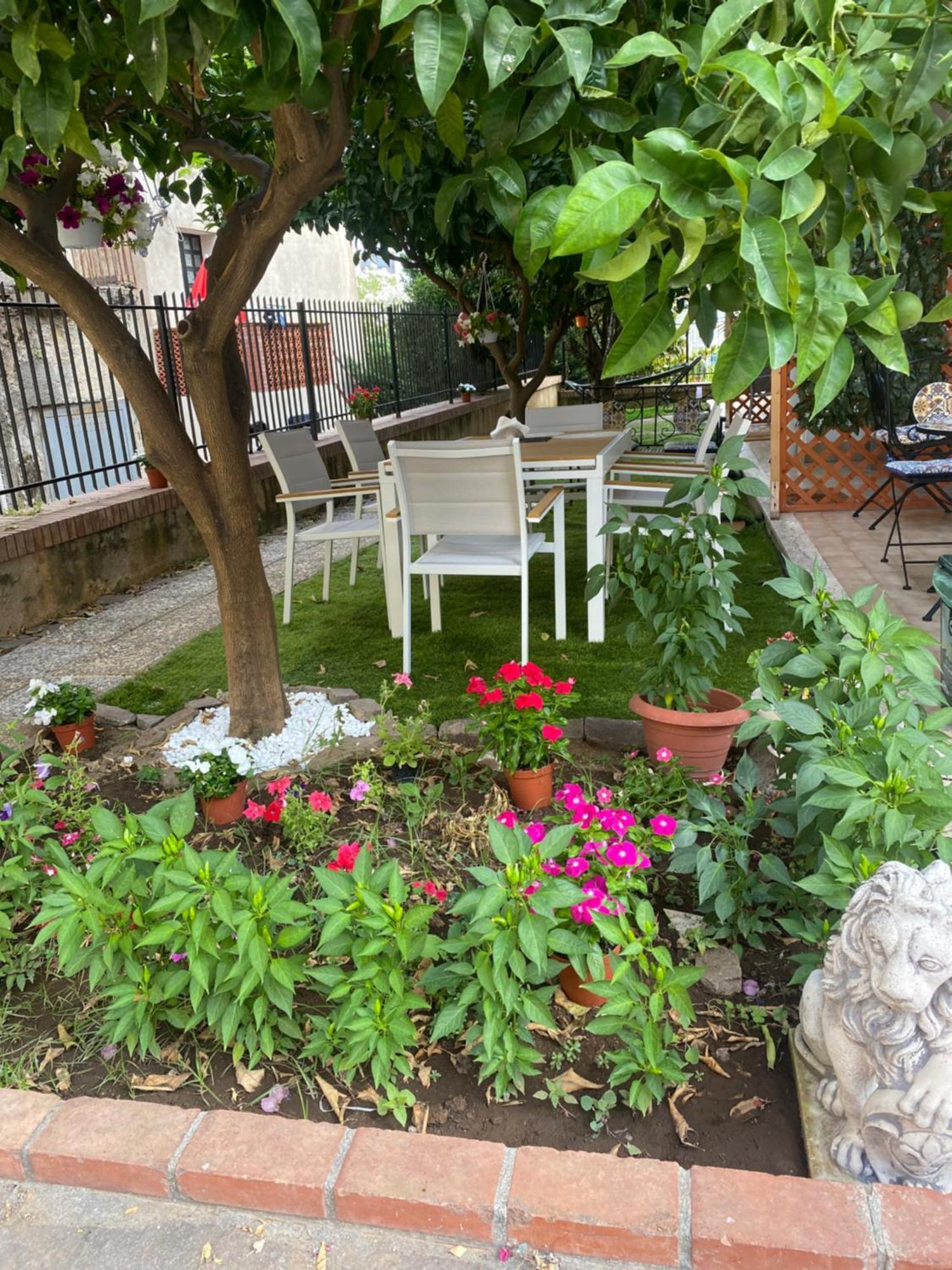 Dimora Leone Bed & Breakfast Diamante Exterior photo